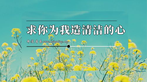 【命定音乐】第187首 -《求你为我造清洁的心》